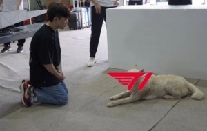 T1超话热议将迎来生死战：你们五个慌不慌我不知道 我已经快疯了