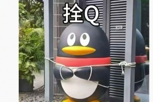 栓q 我真的会笑超强台风桦加沙逼近广东  腾讯为 QQ 企鹅雕像上拴绳